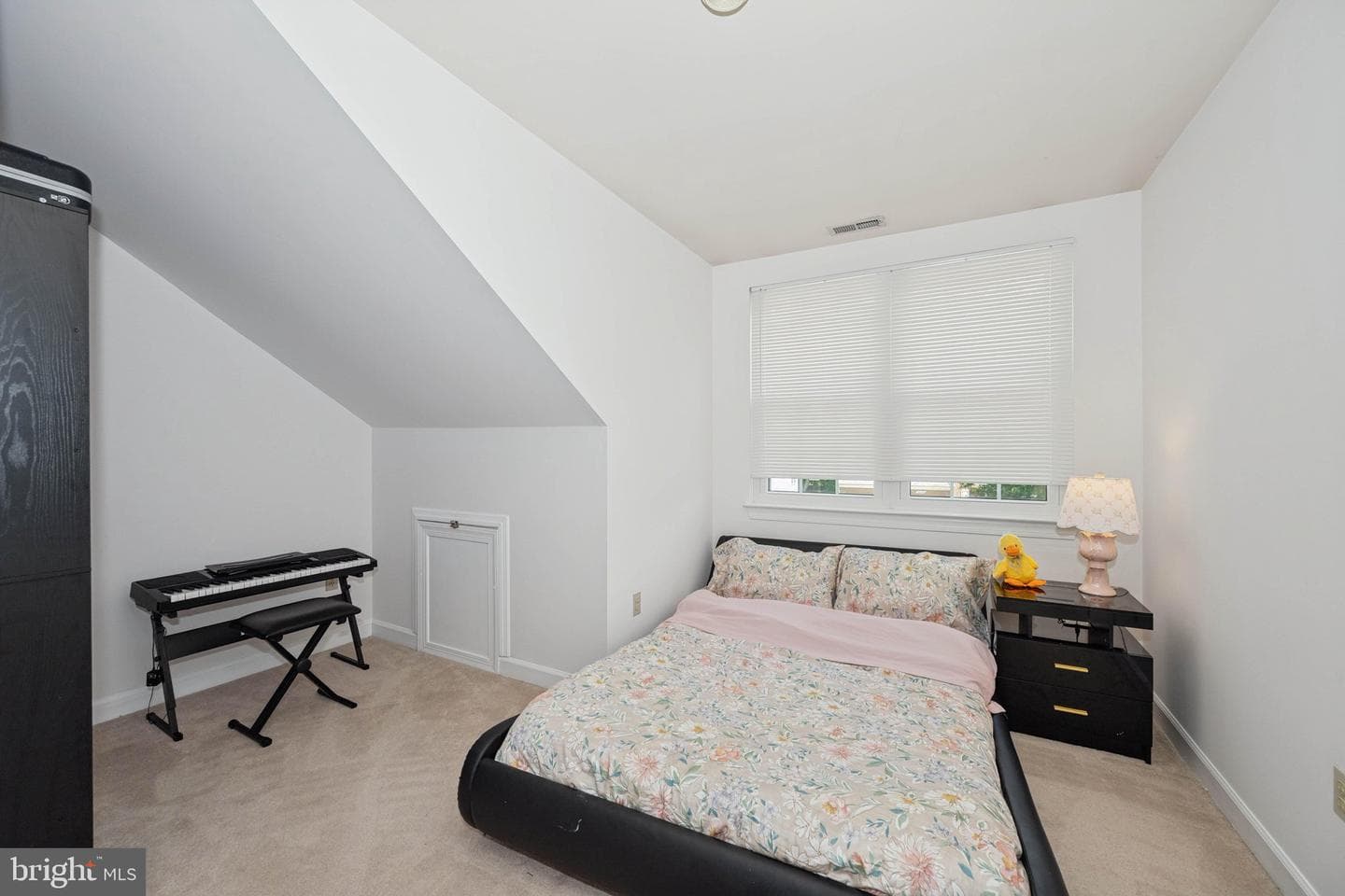 10728 Cottonwood Way photo 43