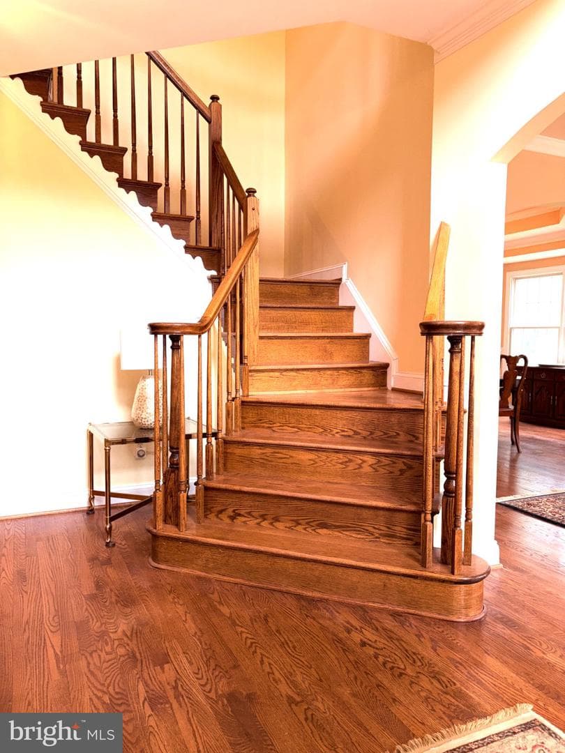 15528 Cattail Oaks photo 20