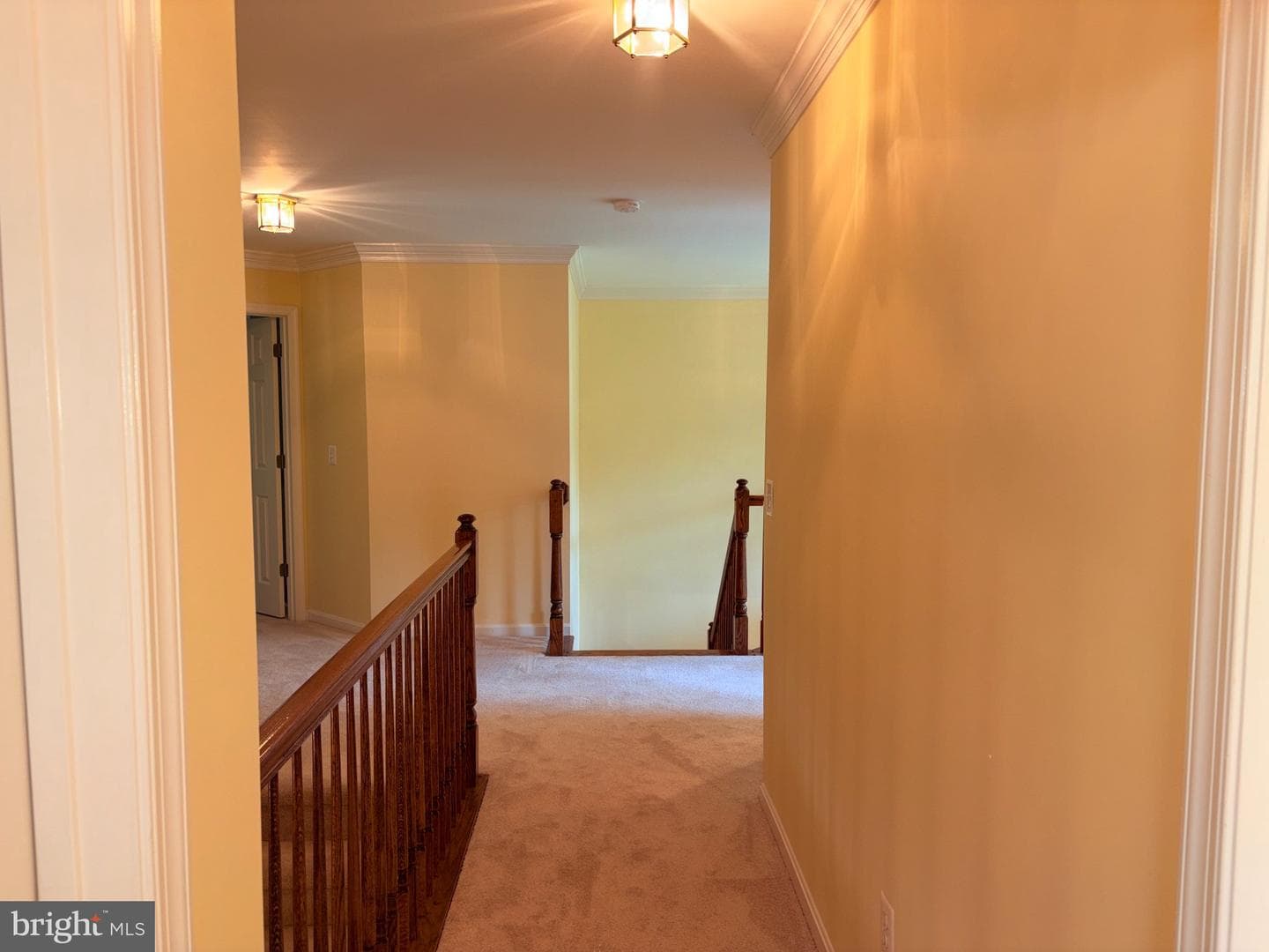 15528 Cattail Oaks photo 22