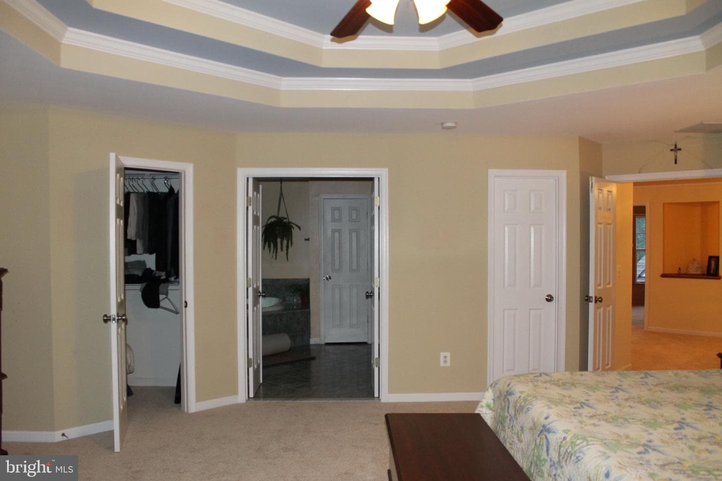 15528 Cattail Oaks photo 25