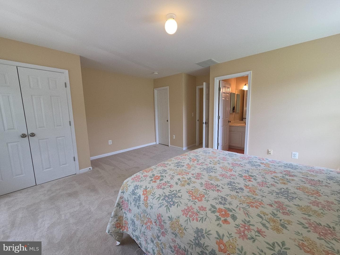 15528 Cattail Oaks photo 32