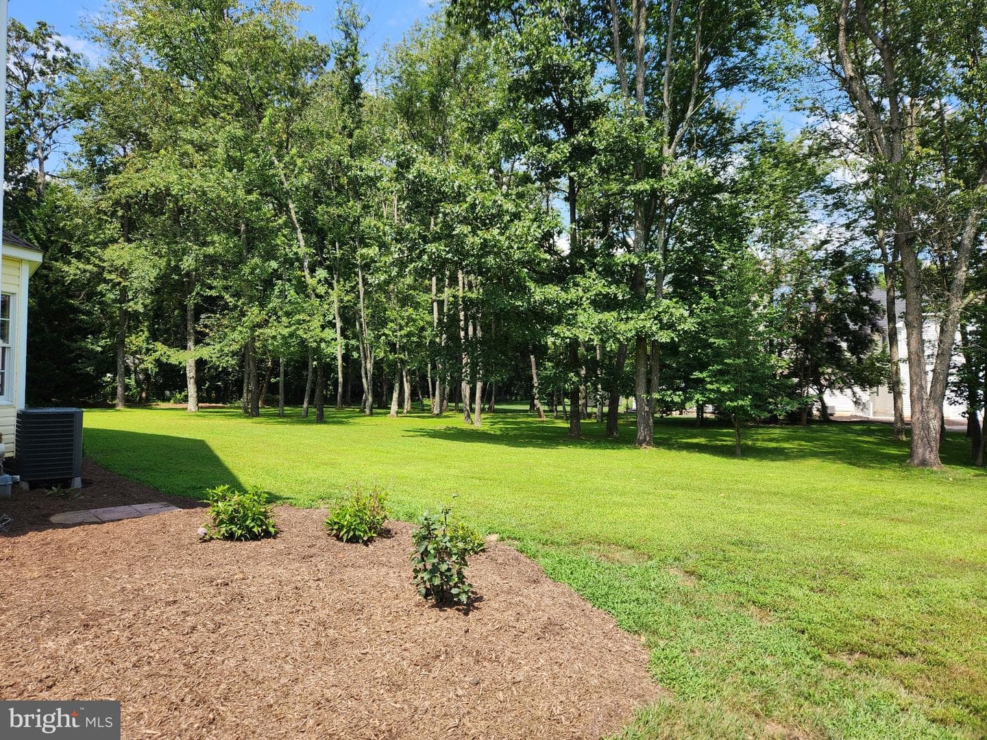 15528 Cattail Oaks photo 63