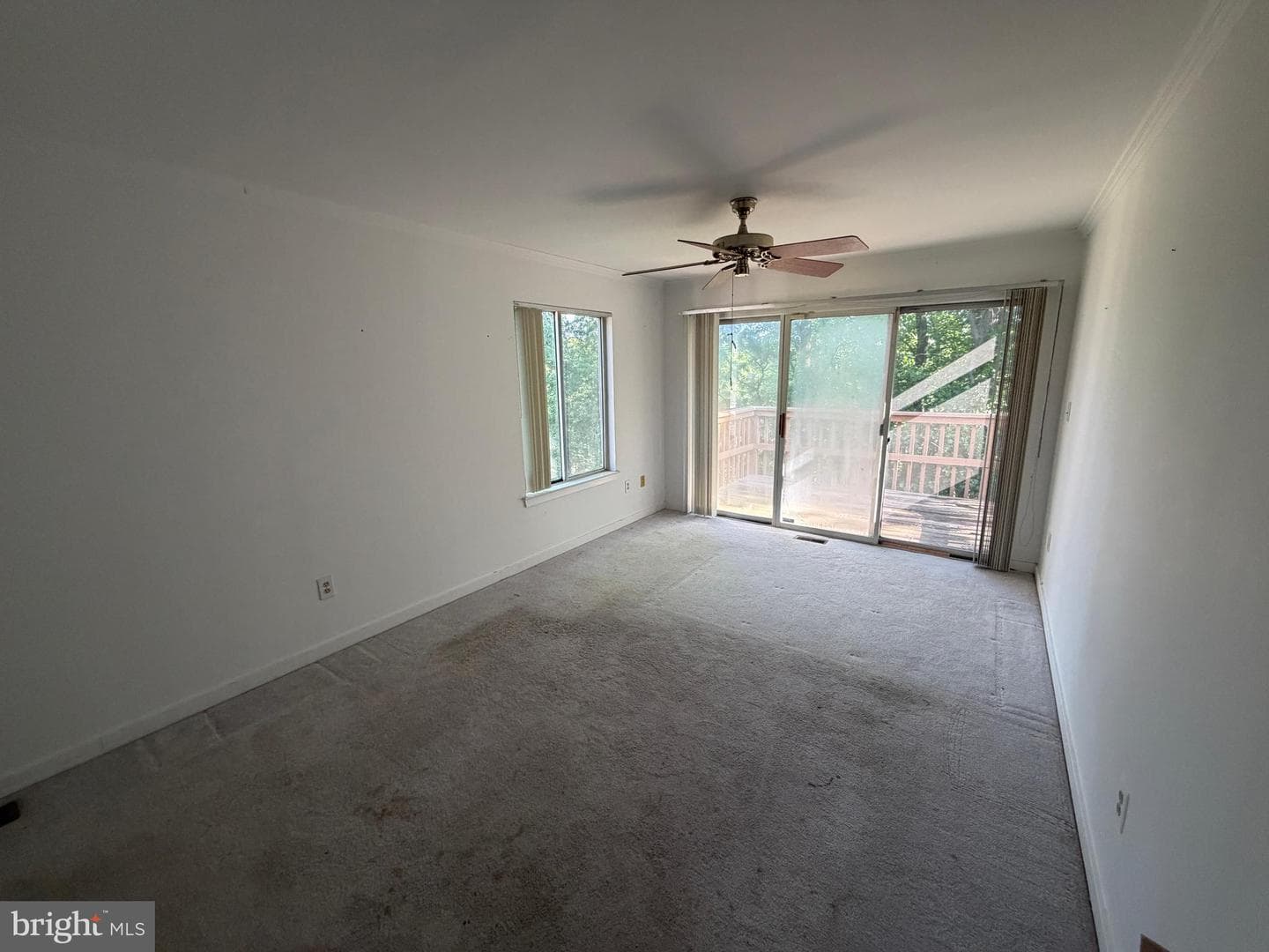 9497 Hickory Limb #301 photo 12