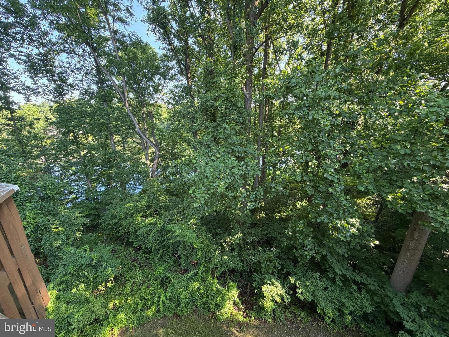 9497 Hickory Limb #301 photo 16