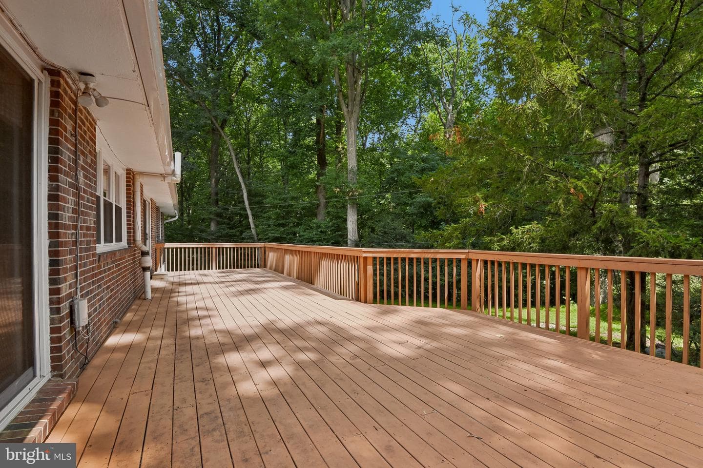 10206 Green Clover Court photo 48
