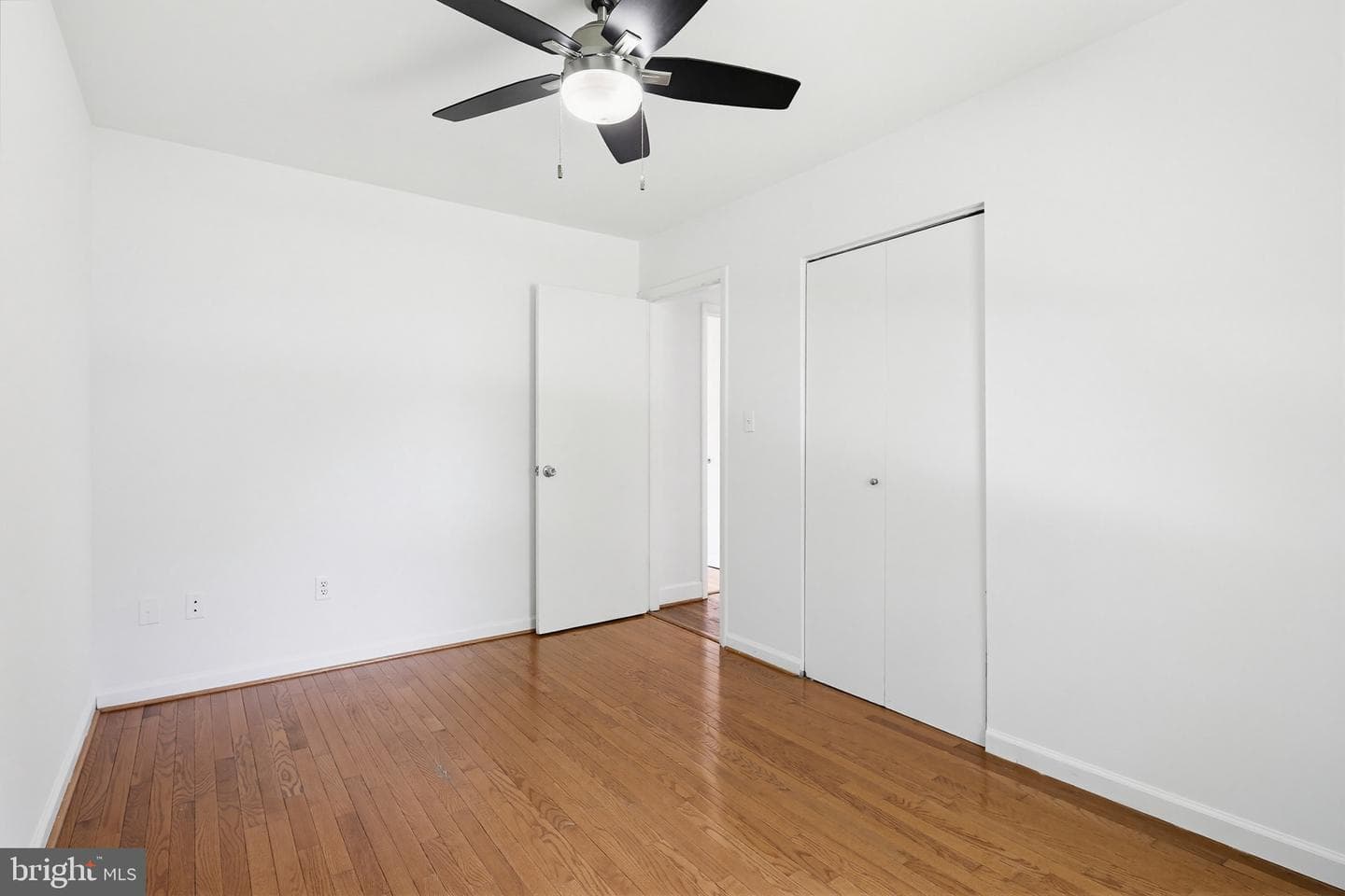 4709 Hale Haven Drive photo 37