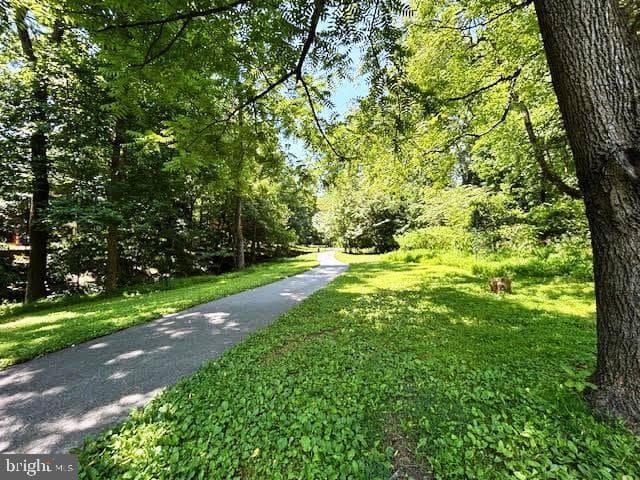 5496 Endicott Lane photo 20