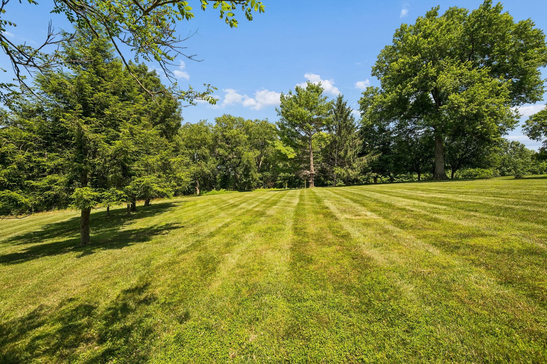 11440 Butterfruit Way photo 5