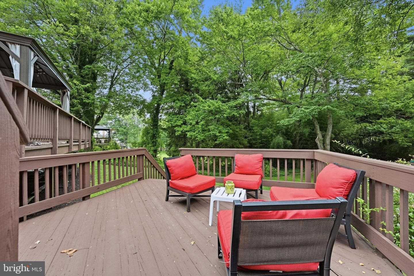 10217 Green Clover Drive photo 74