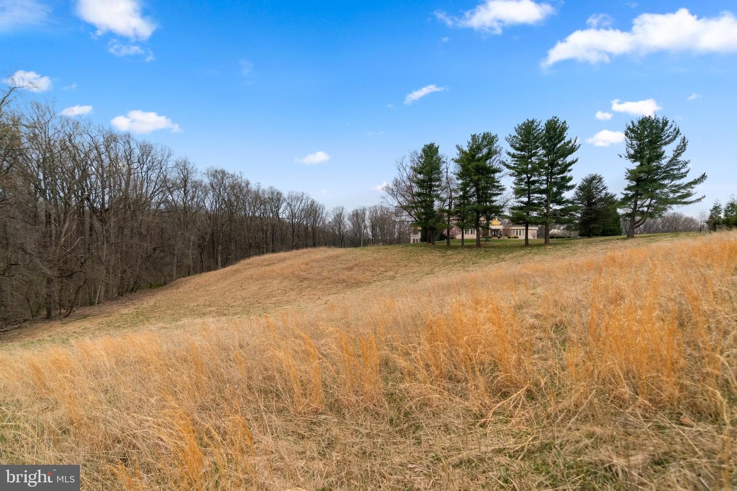 12425 Hill Crest photo 19
