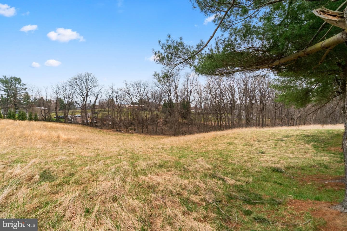 12425 Hill Crest photo 21