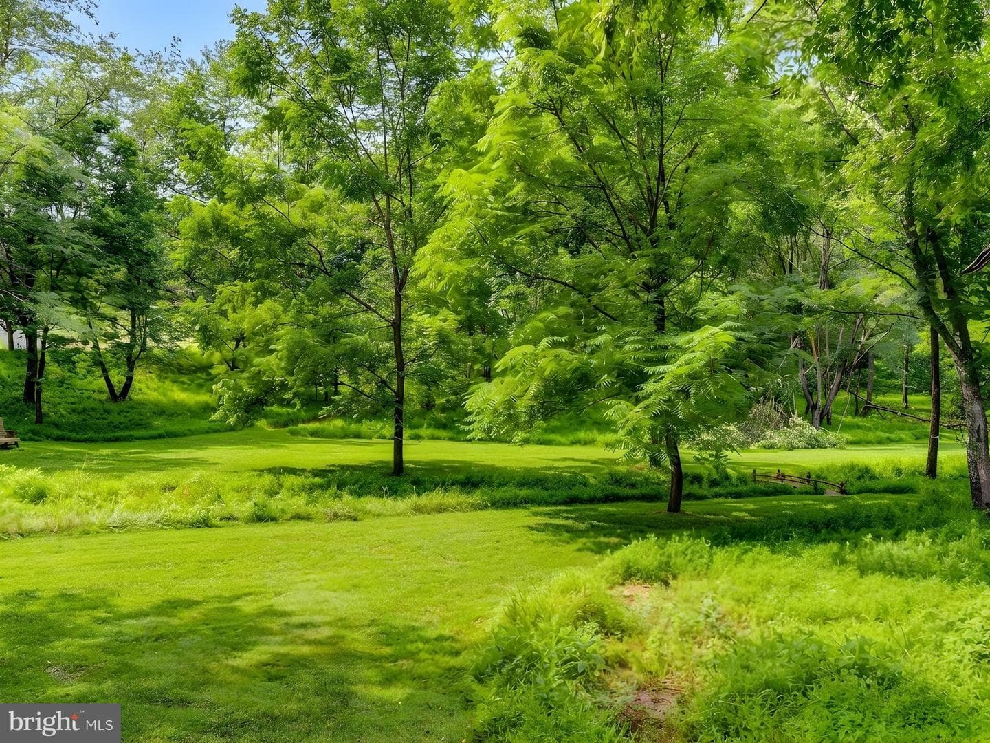 12806 Forestview Court photo 42
