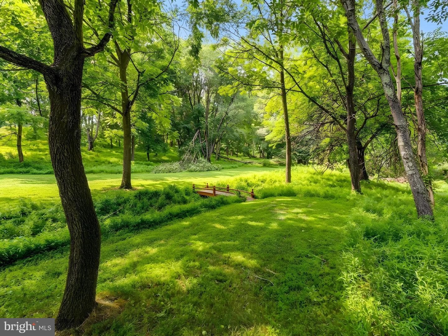 12806 Forestview Court photo 44