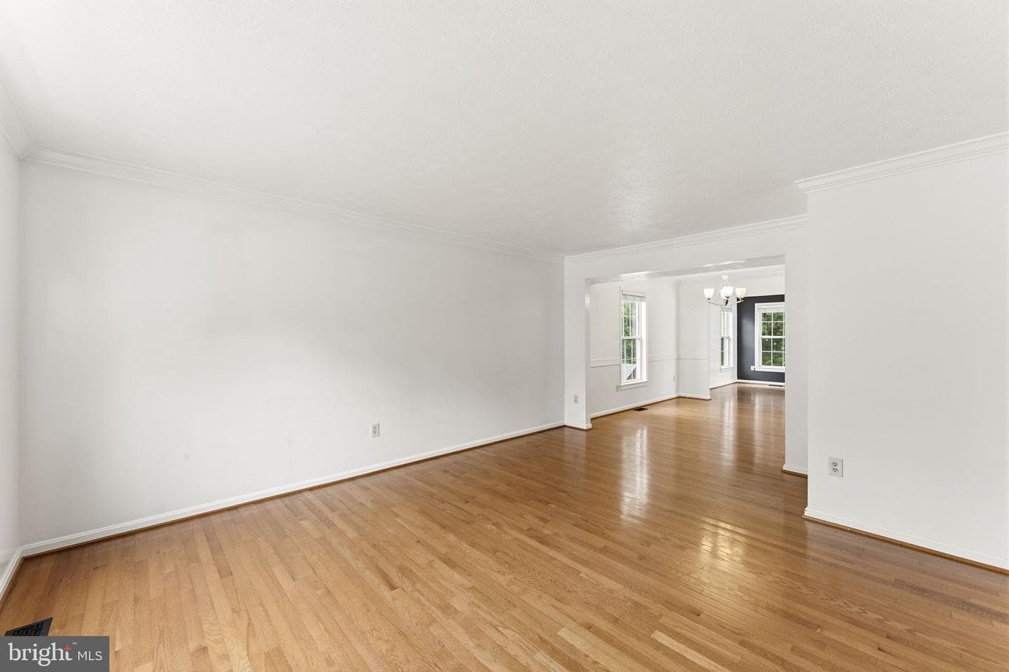 6437 Julie Ann Drive photo 7