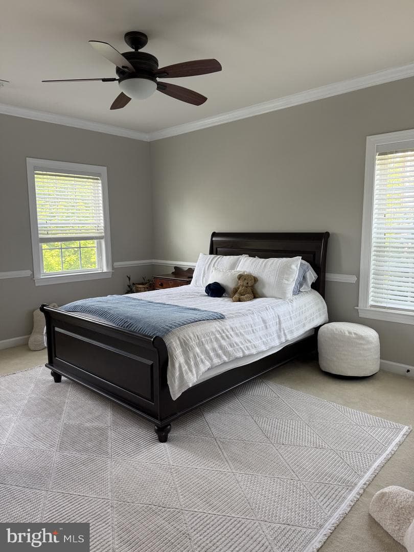 5006 Amber Meadow Vista photo 12