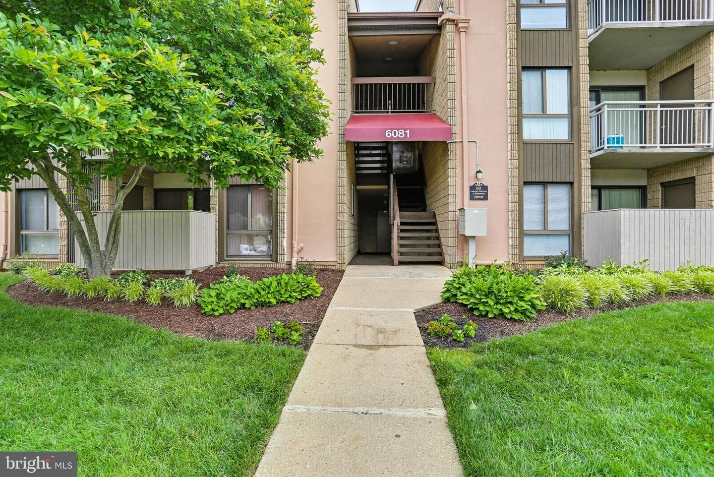 6081 Majors Lane #12 photo 38