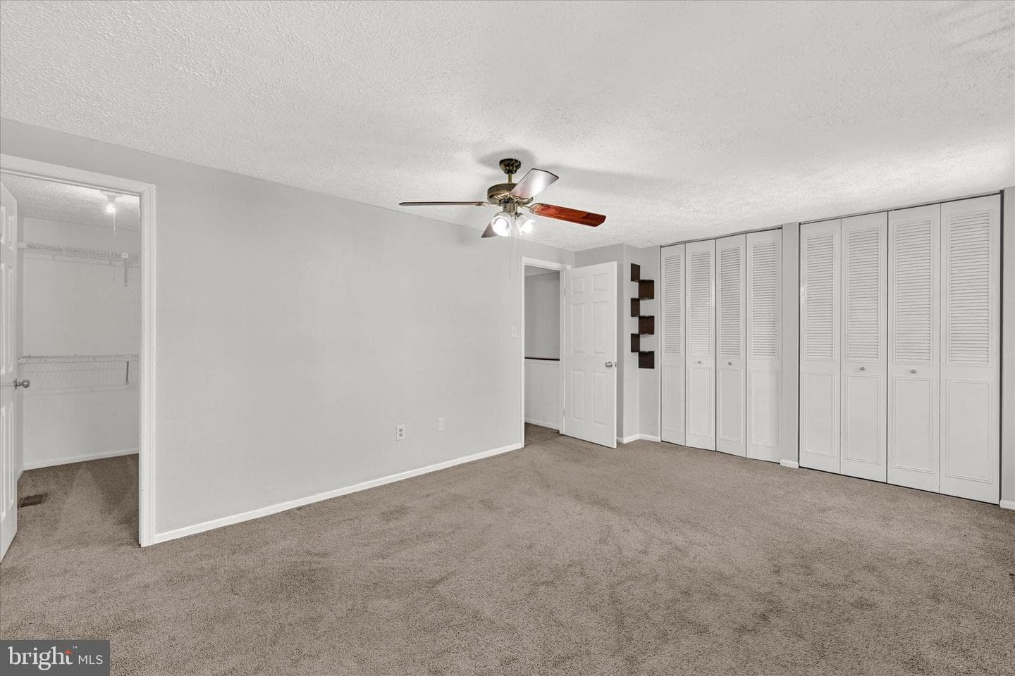 10843 Olde Woods Way photo 18