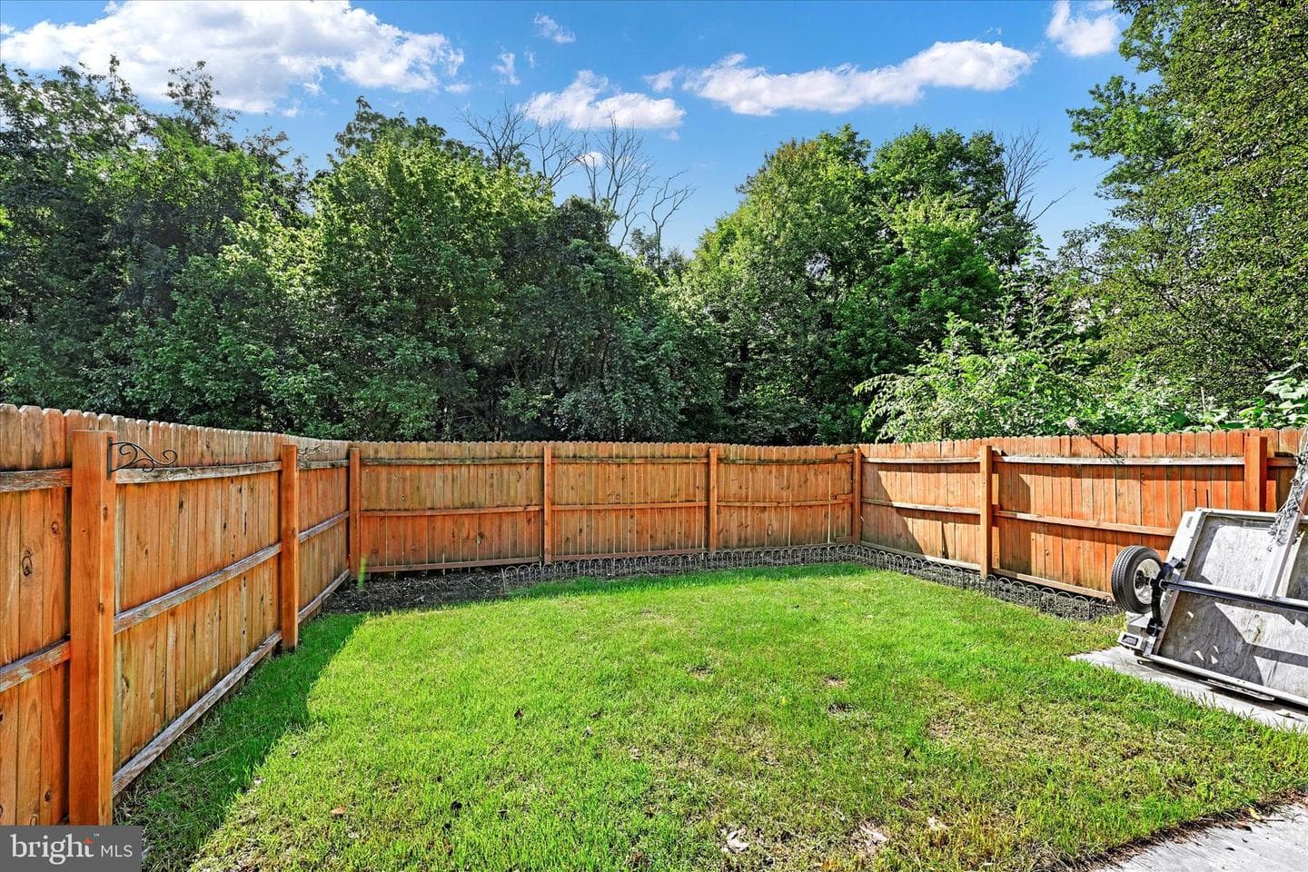 10843 Olde Woods Way photo 27
