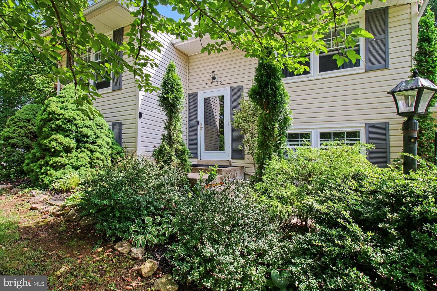 9229 Crazyquilt Court photo 3
