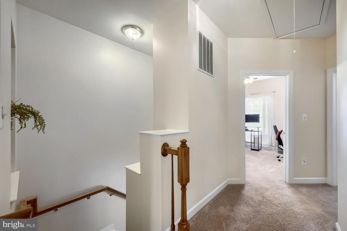 5911 Meadow Rose photo 19