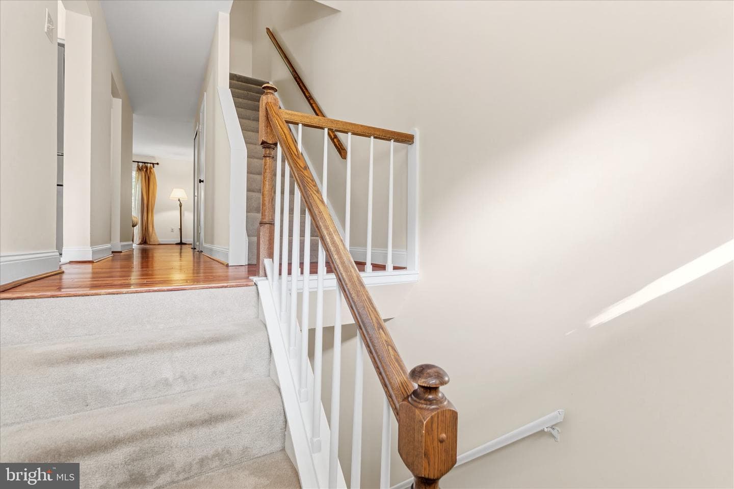 9752 Summer Park Court photo 5