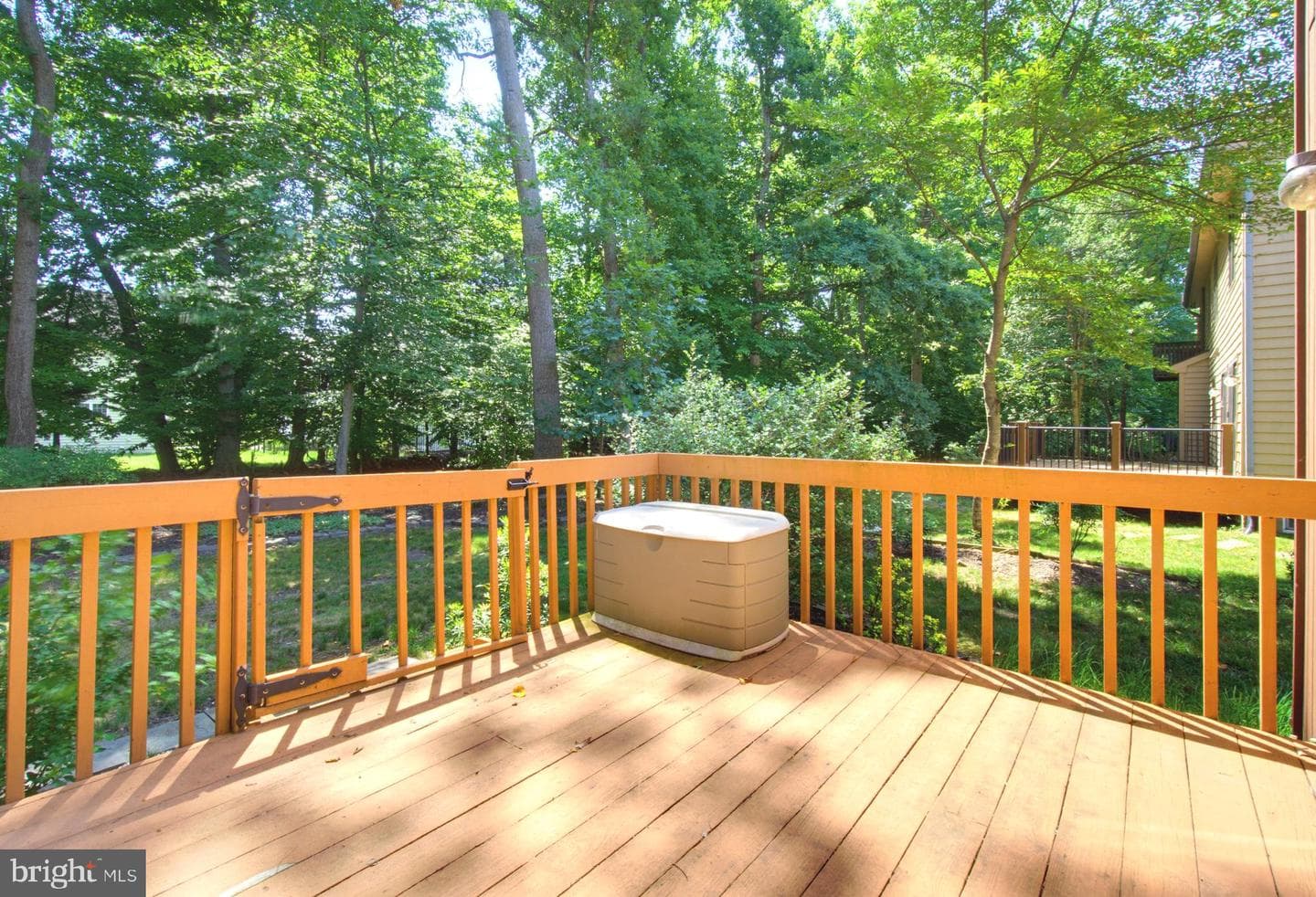 6181 Wooded Run Drive photo 57