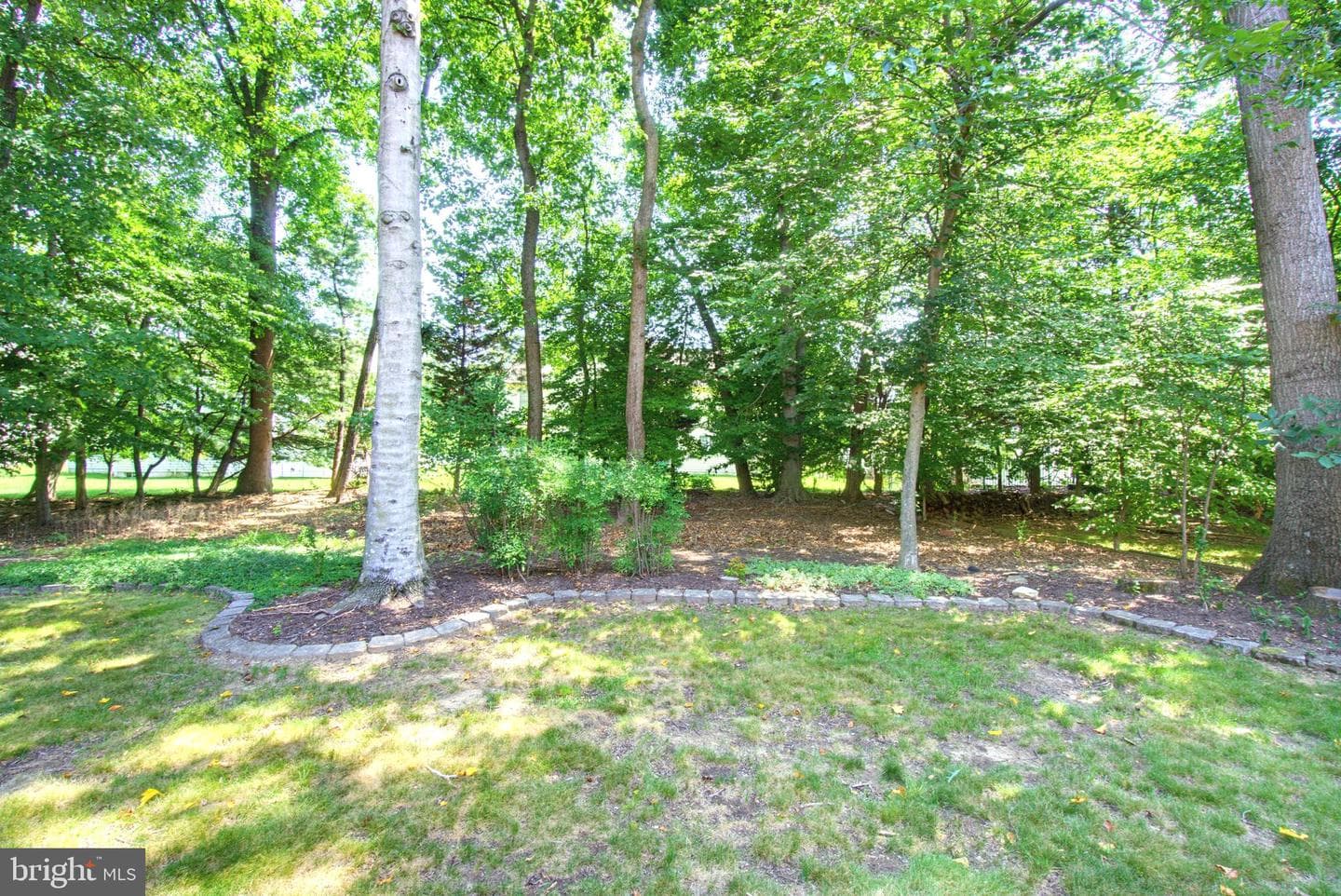 6181 Wooded Run Drive photo 59