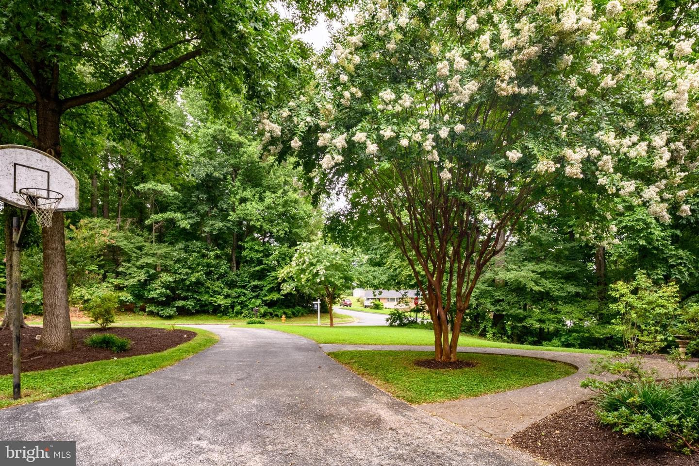 7951 Gavin Way photo 5