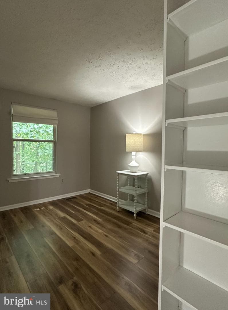 6074 Wild Ginger Court photo 21