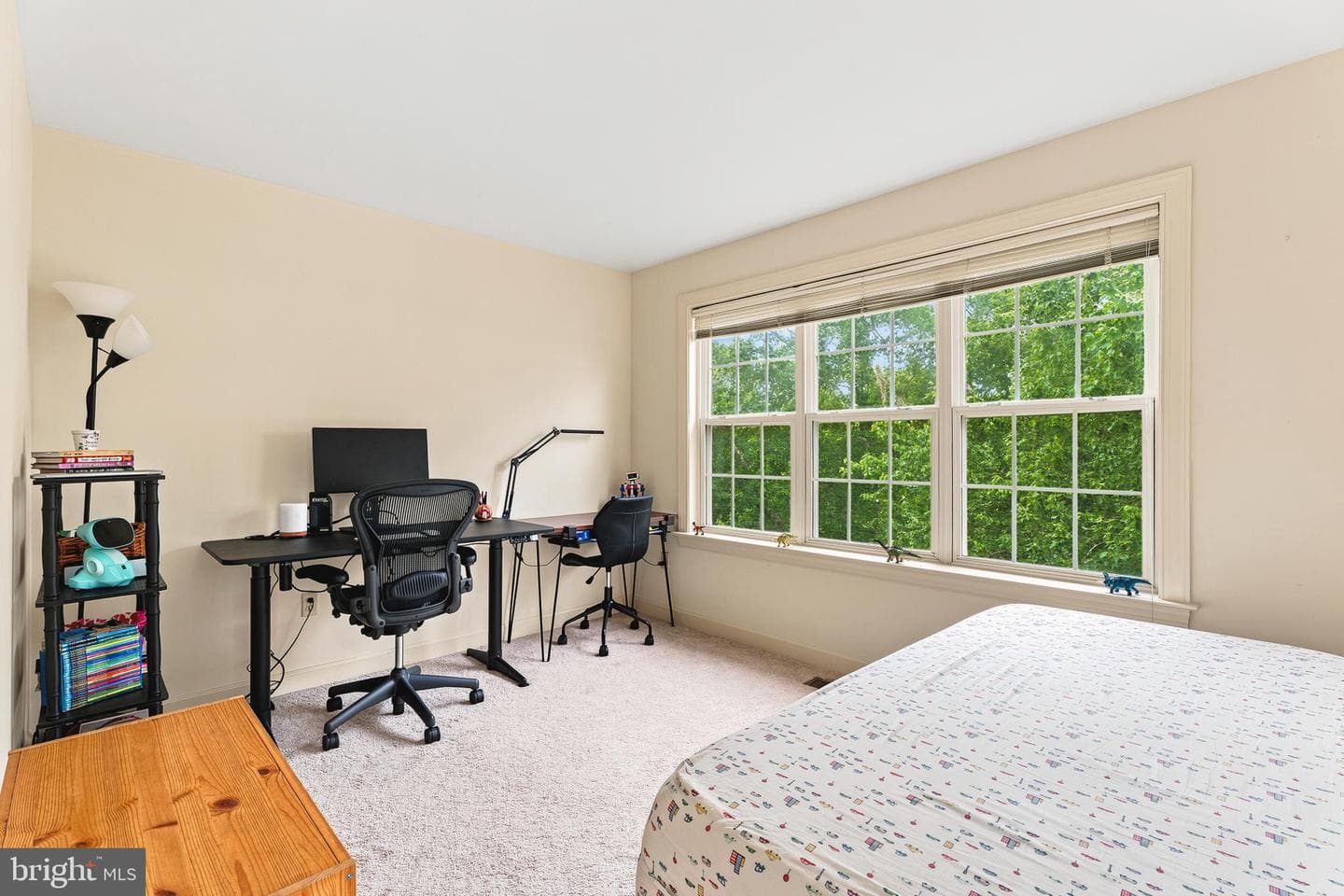 10779 Folkestone Way photo 26