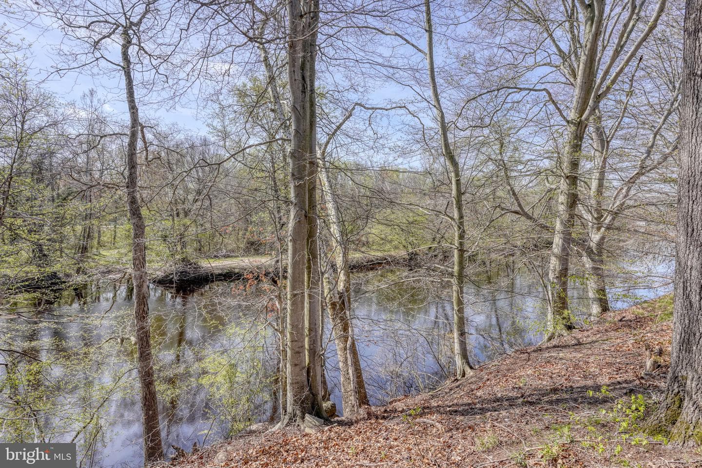 31729 W Edge Road photo 4