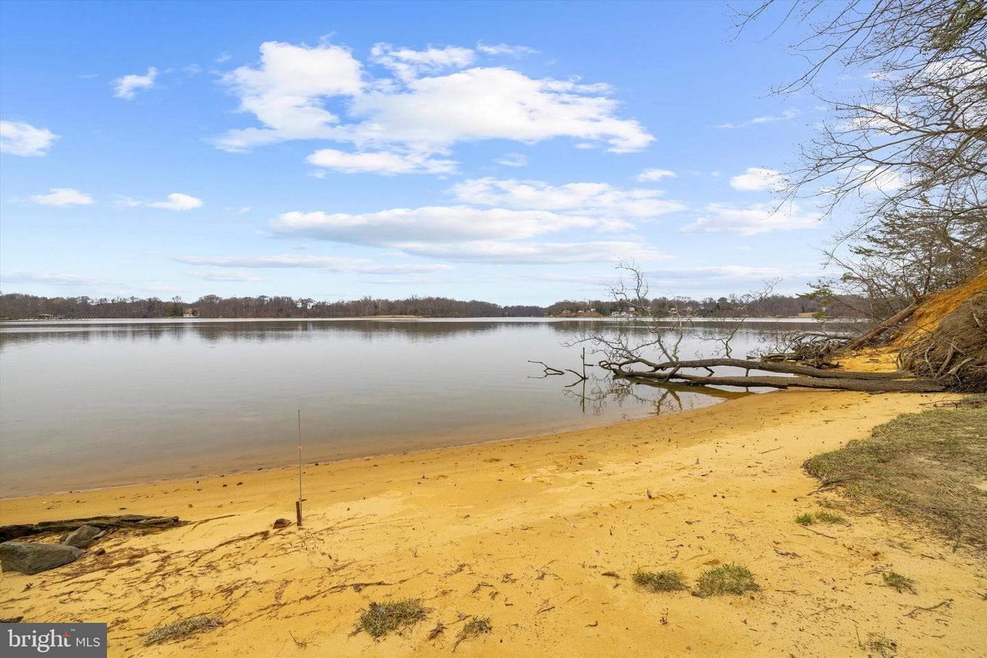 12400 Woods Road photo 5