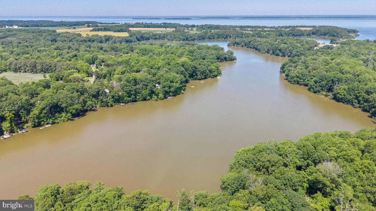 10781 Fermoy Road photo 54