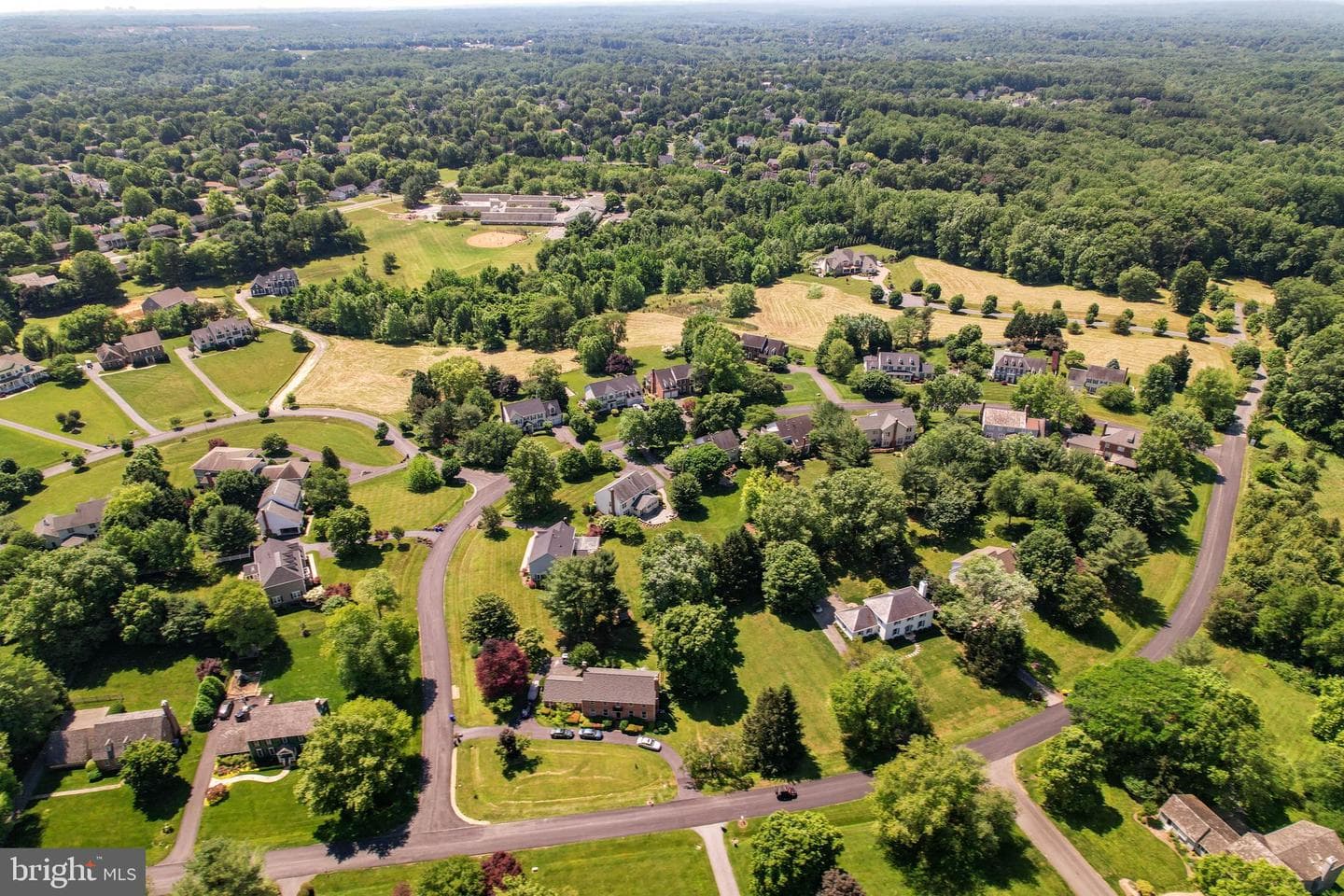 12907 Quail Run Court photo 9