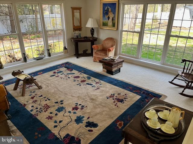13321 Travilah Rd photo 19