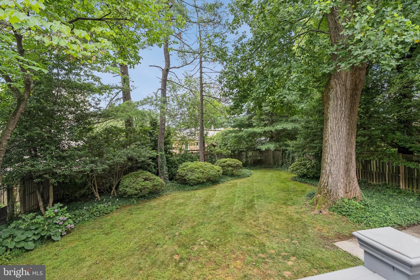8109 Custer Road photo 49