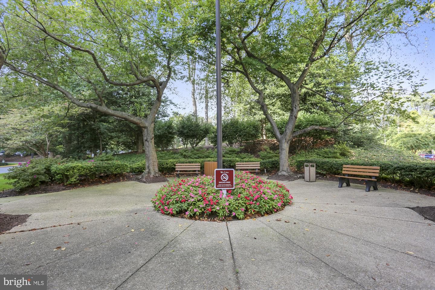 5225 Pooks Hill Road #417n photo 34