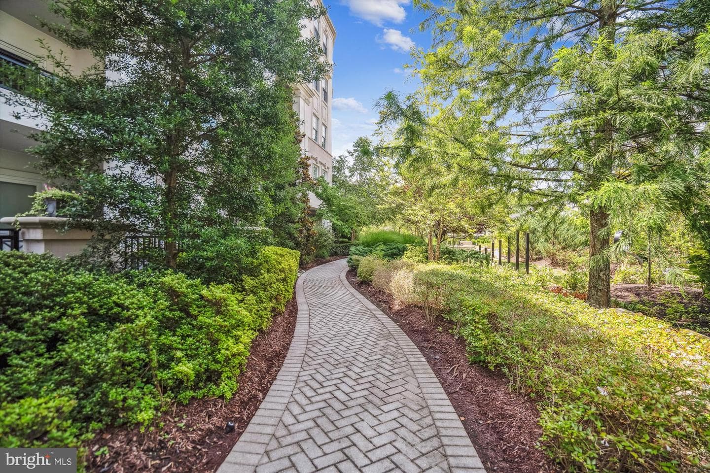 8229 River Road photo 51