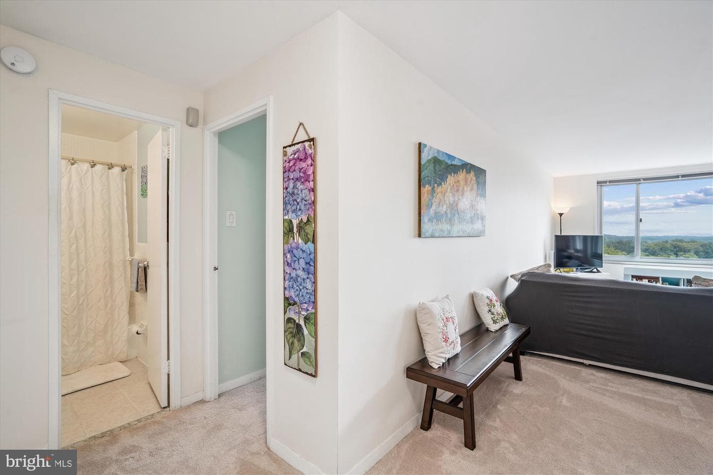 1900 Lyttonsville Road #1308 photo 18