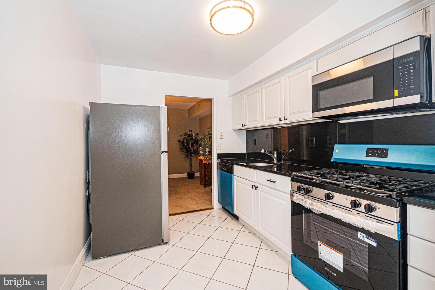 7539 Spring Lake Drive #7539-C photo 5