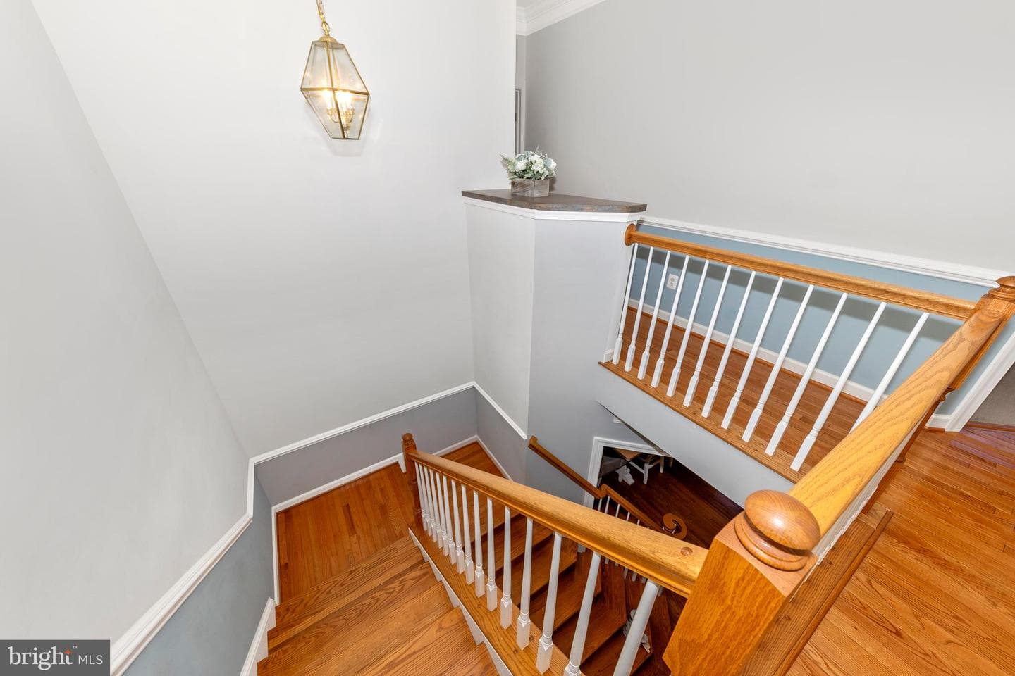 12313 Cherry Branch Dr photo 18