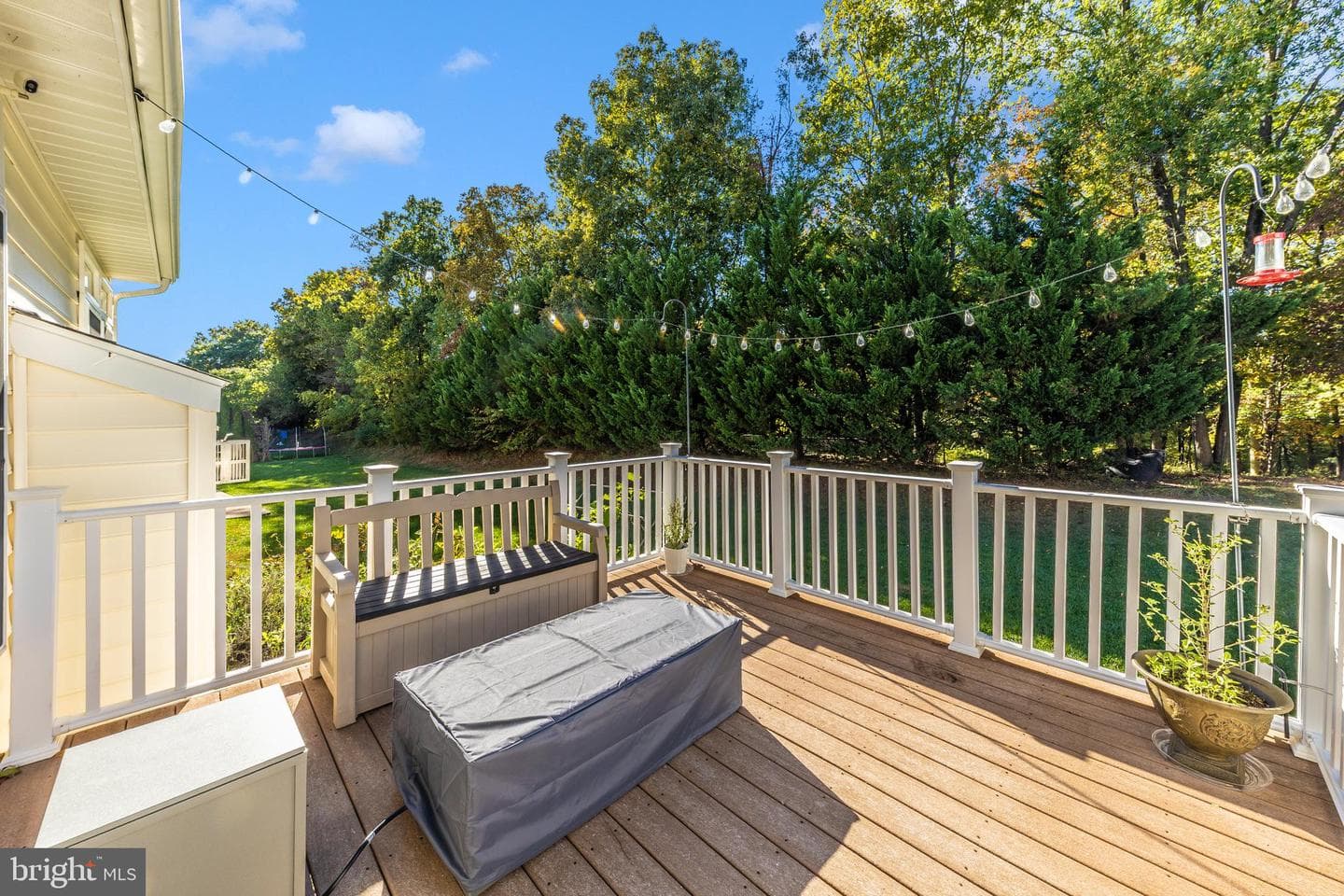 12313 Cherry Branch Dr photo 19