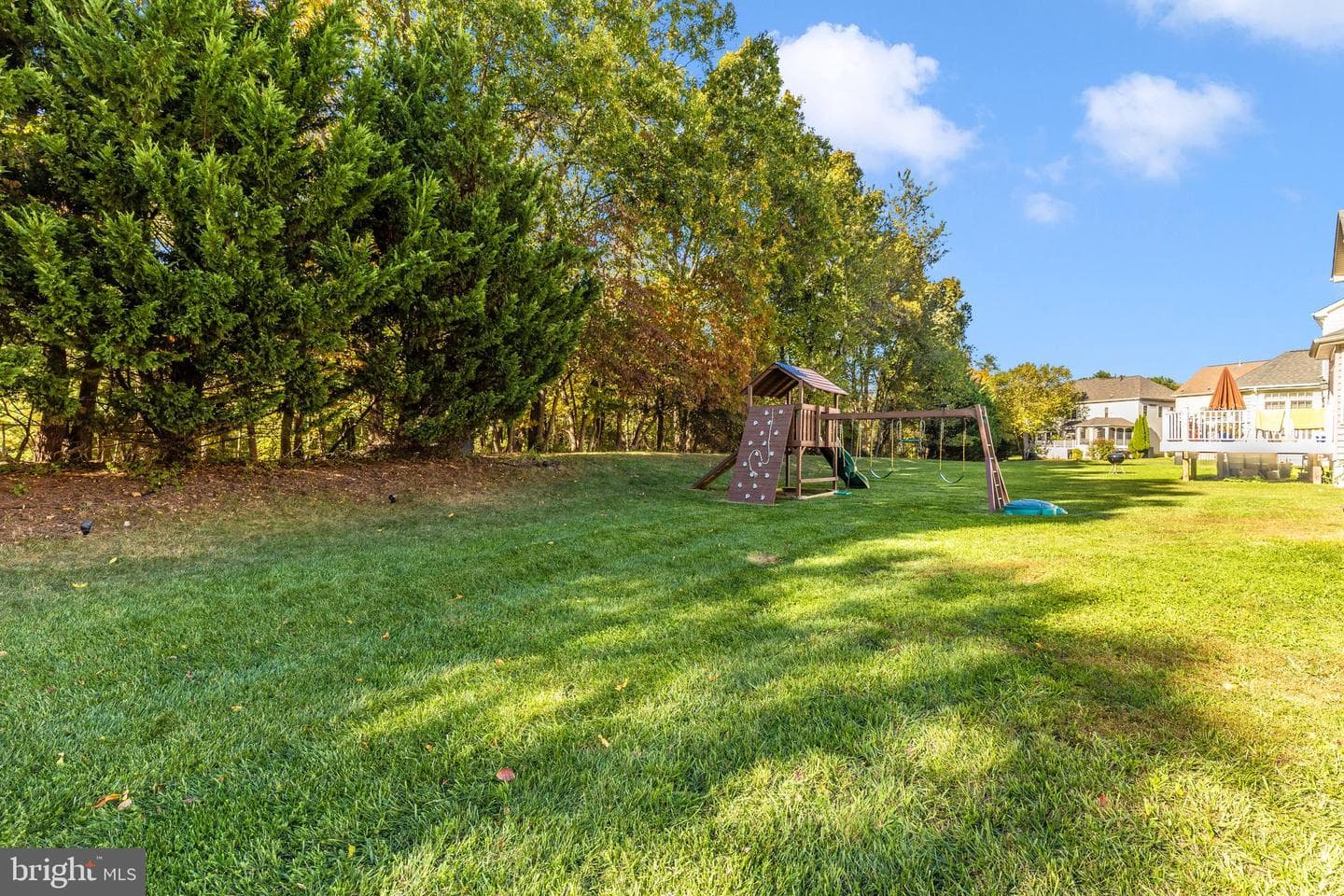 12313 Cherry Branch Dr photo 28