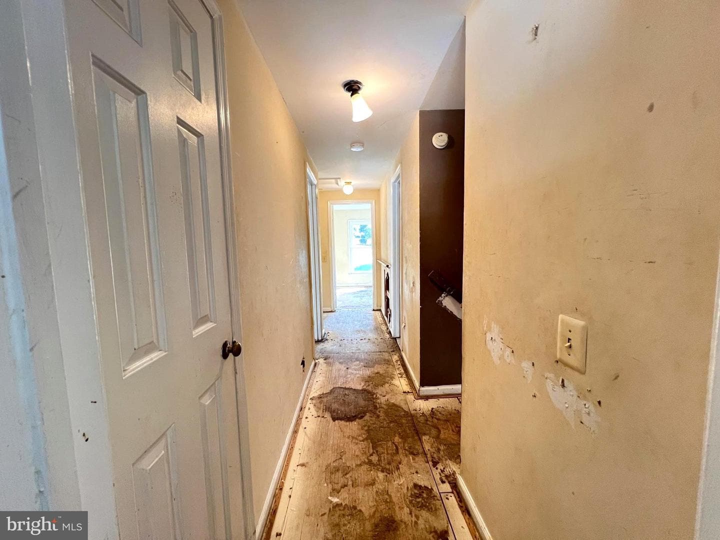 2124 Aventurine Way photo 14