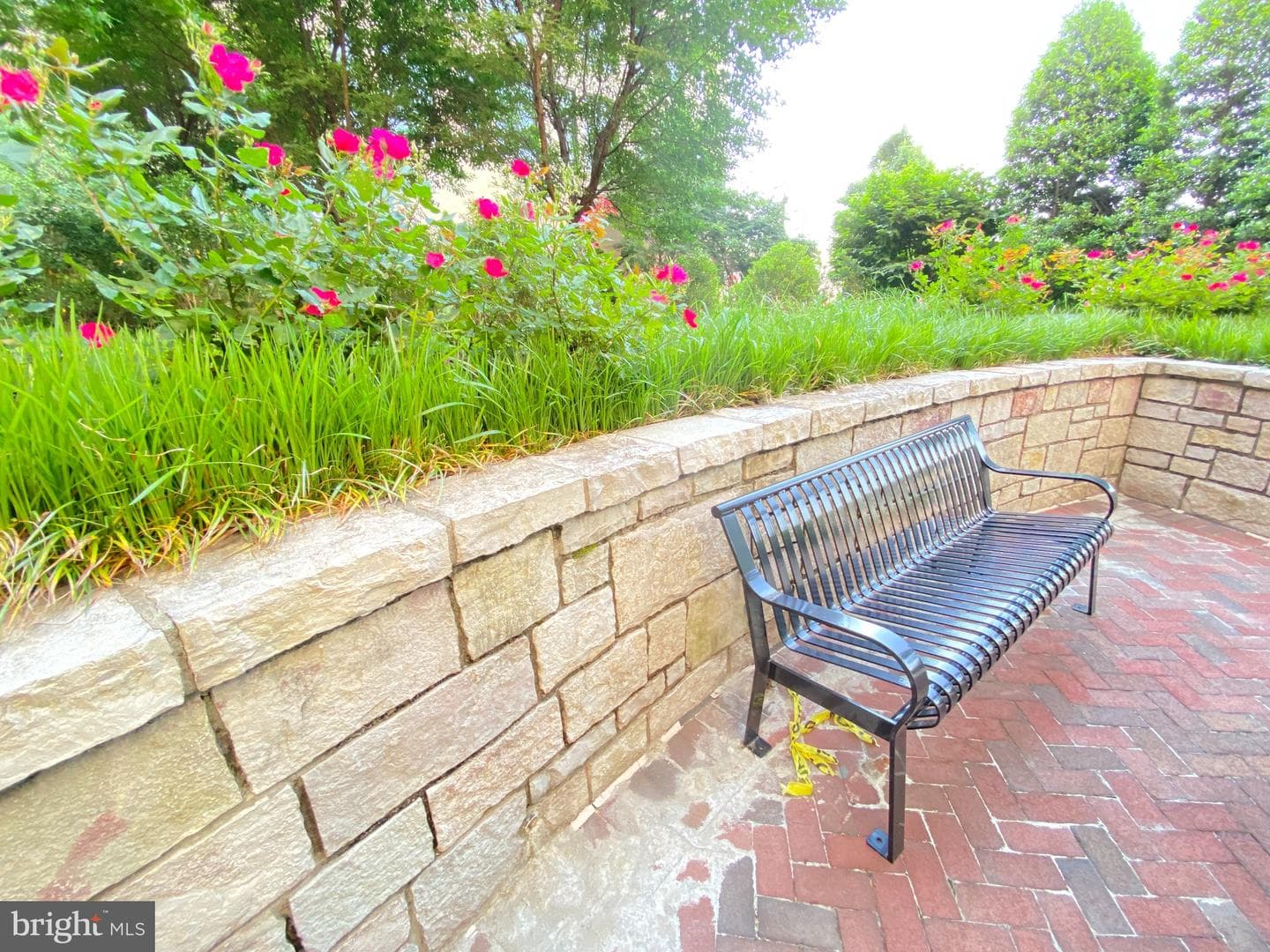 7111 Woodmont Avenue #103 photo 18