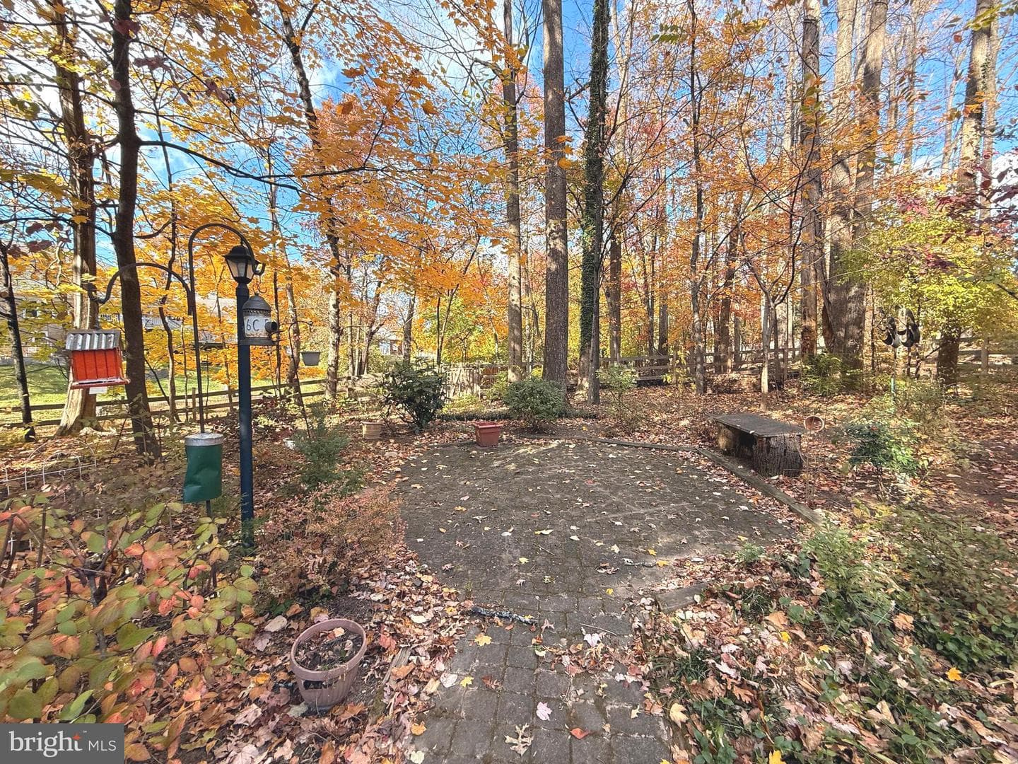 11512 Le Havre Drive photo 59