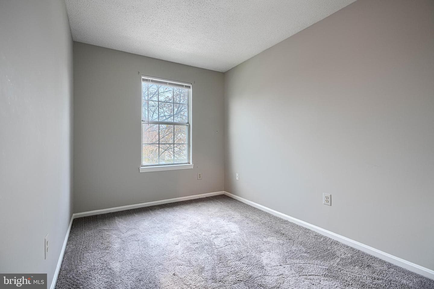 14905 Cleese Court #5af photo 14