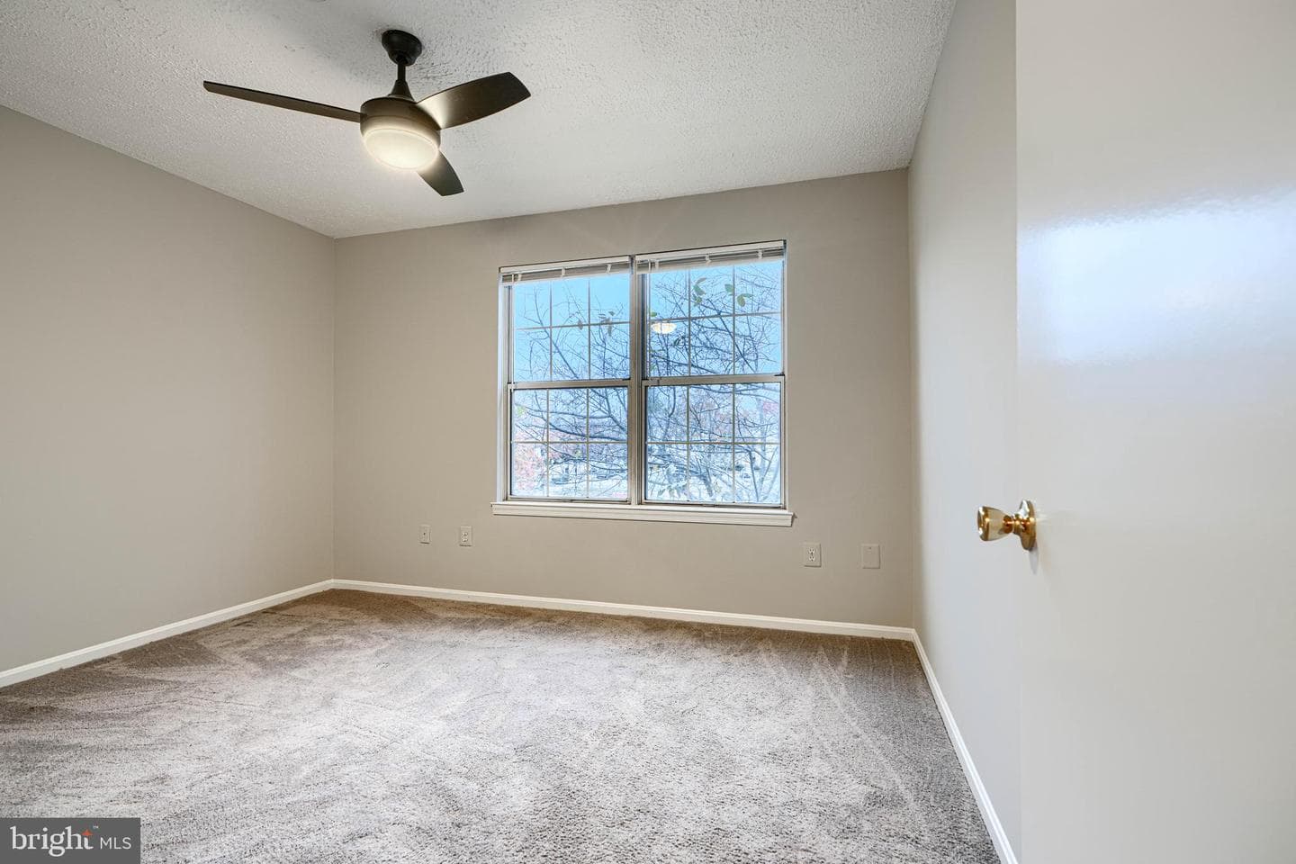 14905 Cleese Court #5af photo 20