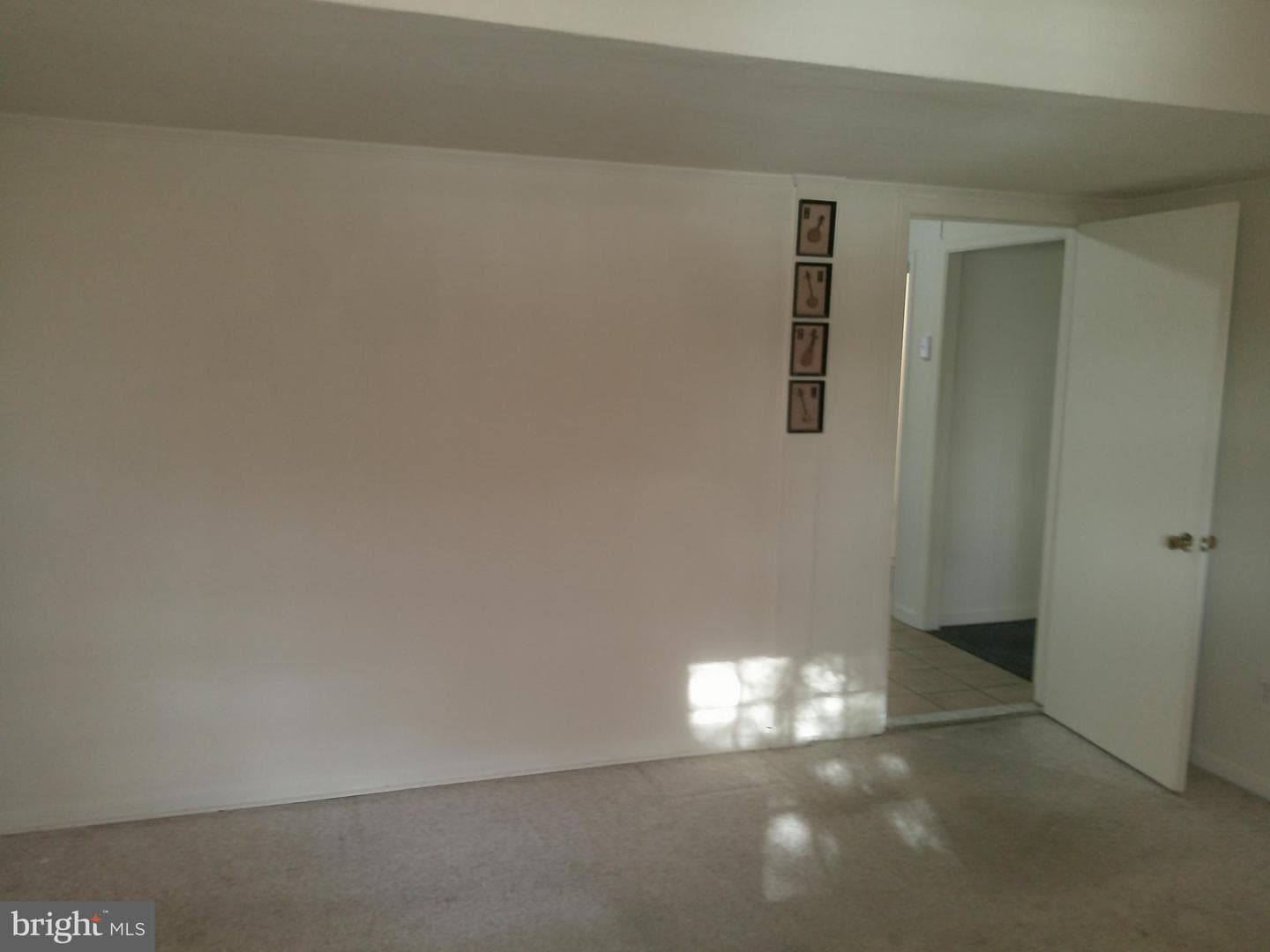 12300 Downer Drive photo 45