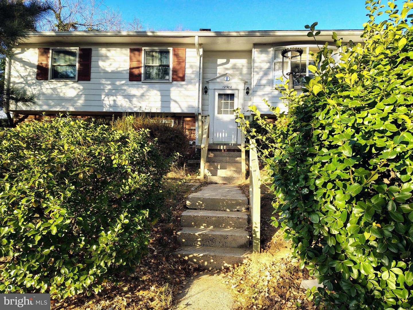 12300 Downer Drive photo 6